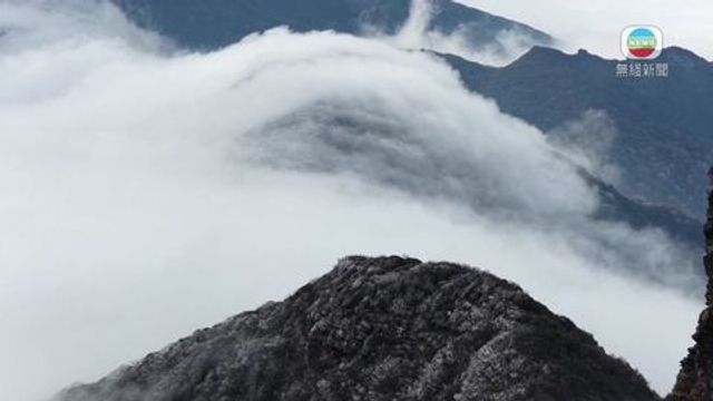 無綫新聞 TVB News