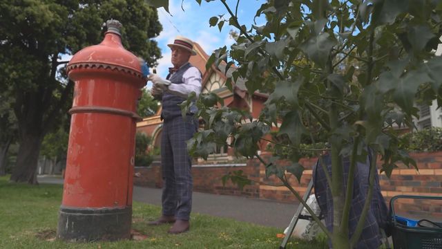 無綫新聞 TVB News