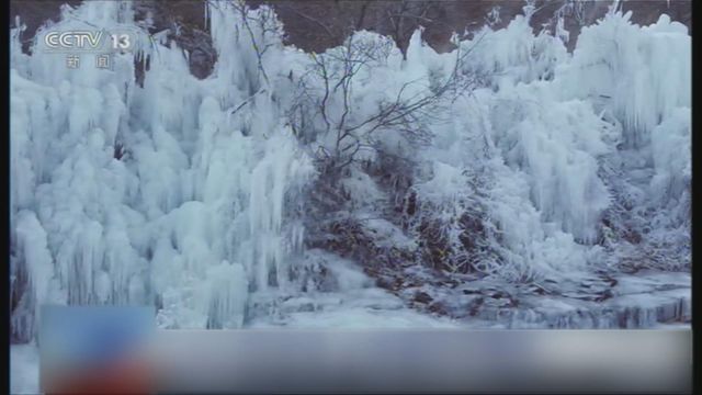 無綫新聞 TVB News