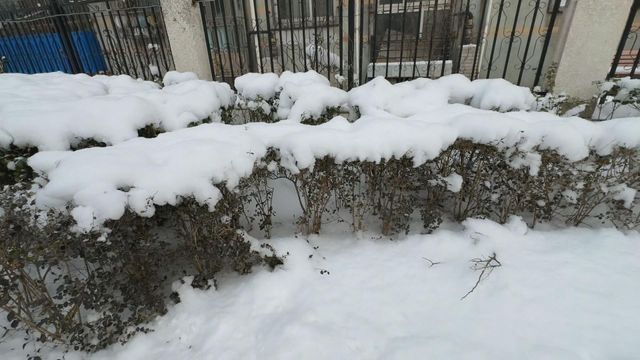 無綫新聞 TVB News