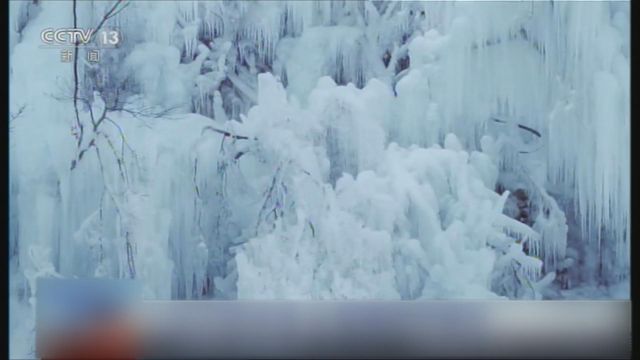 無綫新聞 TVB News