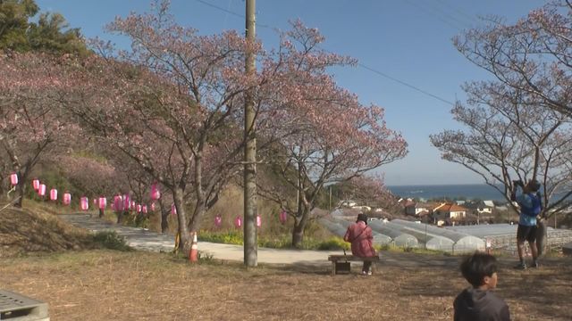 無綫新聞 TVB News