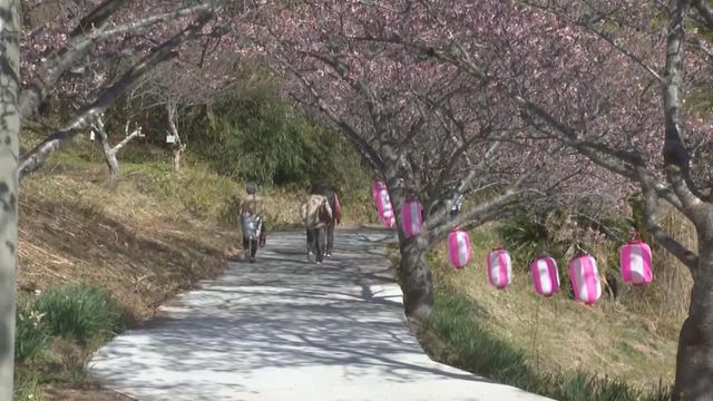 無綫新聞 TVB News