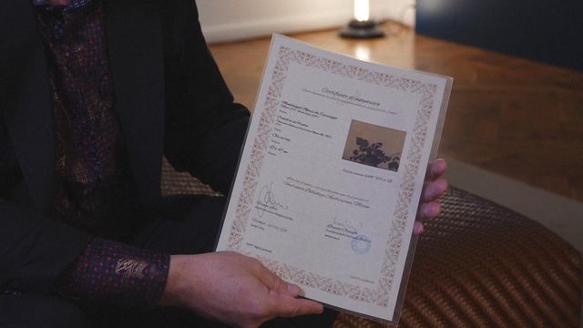 無綫新聞 TVB News