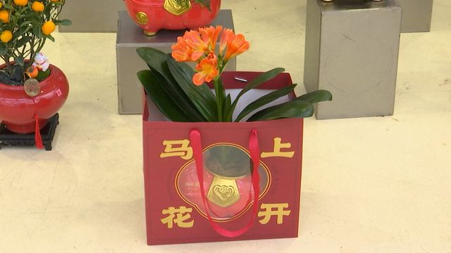 無綫新聞 TVB News