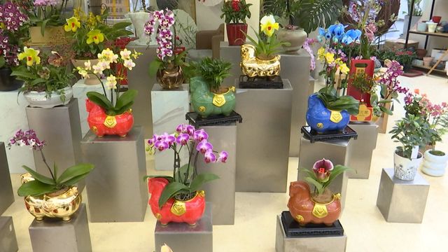 無綫新聞 TVB News