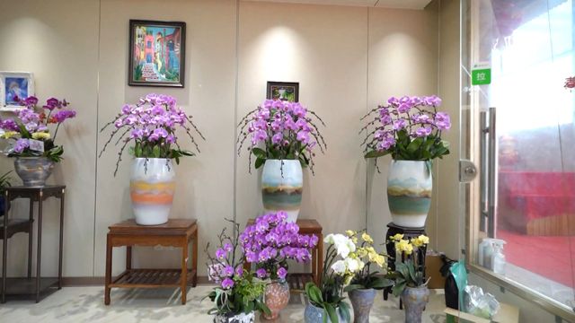 無綫新聞 TVB News