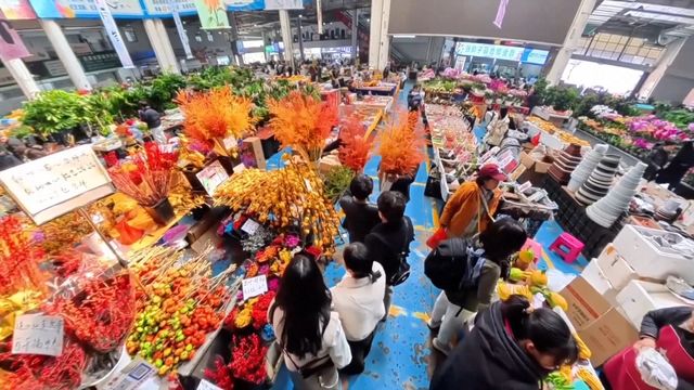 無綫新聞 TVB News