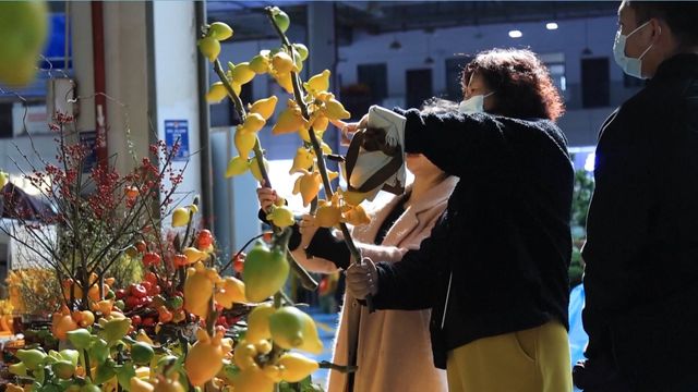 無綫新聞 TVB News