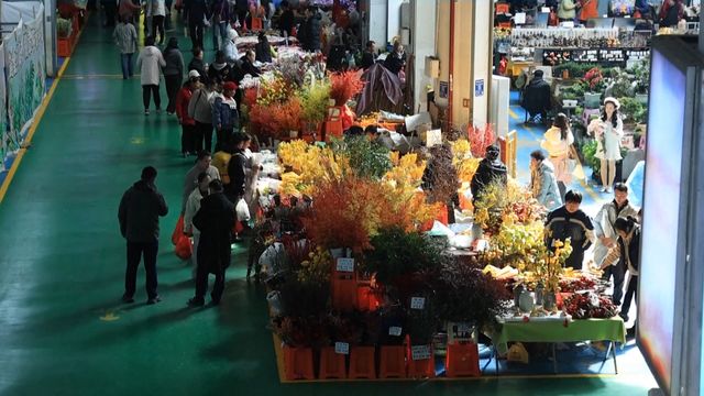 無綫新聞 TVB News