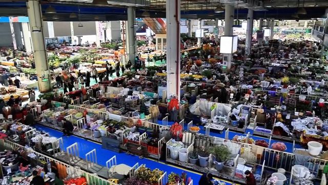 無綫新聞 TVB News