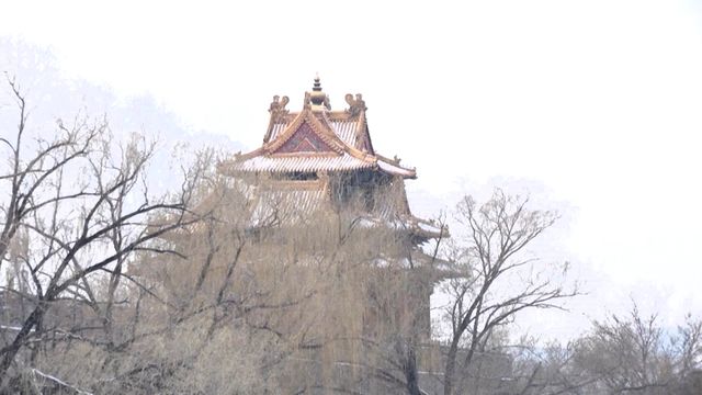 無綫新聞 TVB News