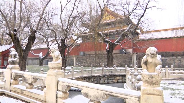 無綫新聞 TVB News