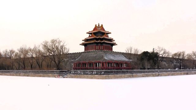 無綫新聞 TVB News