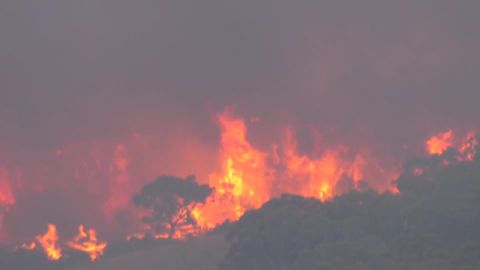 澳洲阿德萊德南部小鎮山火肆虐　燒毀逾600公頃草地及灌木叢
