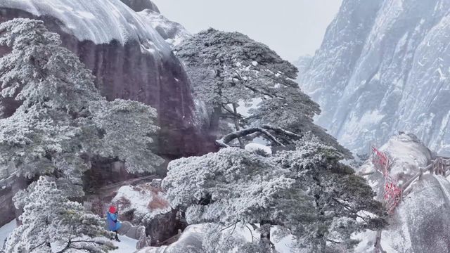 無綫新聞 TVB News 無綫新聞 TVB News