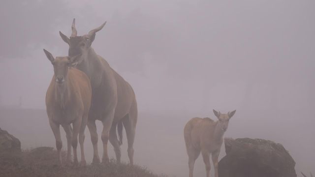 無綫新聞 TVB News