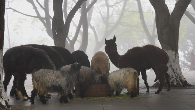 無綫新聞 TVB News