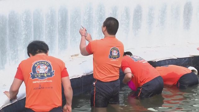 無綫新聞 TVB News 無綫新聞 TVB News