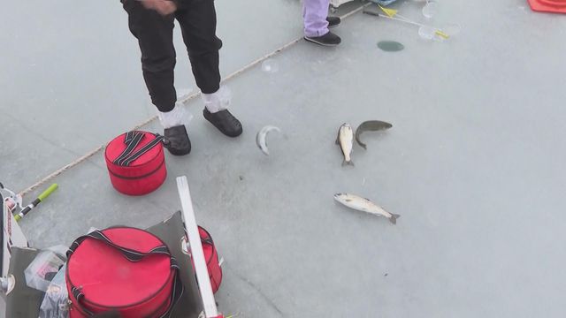 無綫新聞 TVB News 無綫新聞 TVB News