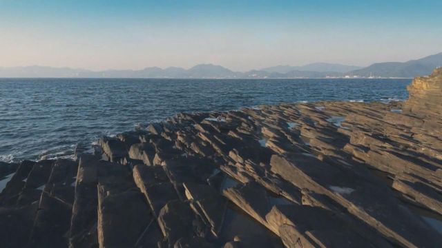 無綫新聞 TVB News