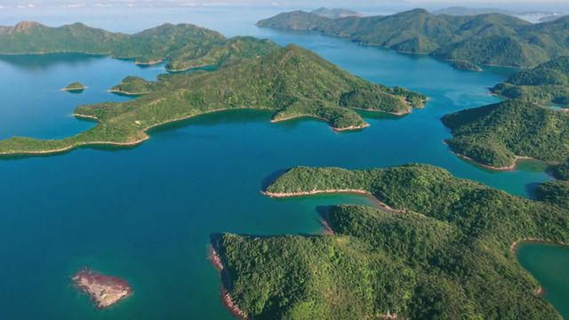 無綫新聞 TVB News