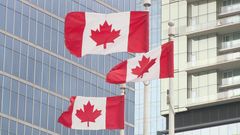 Number of Chinese immigrants to Canada drops after reduction in visa quotas