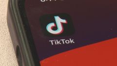 Canadian court rules TikTok can keep operating in the country for now