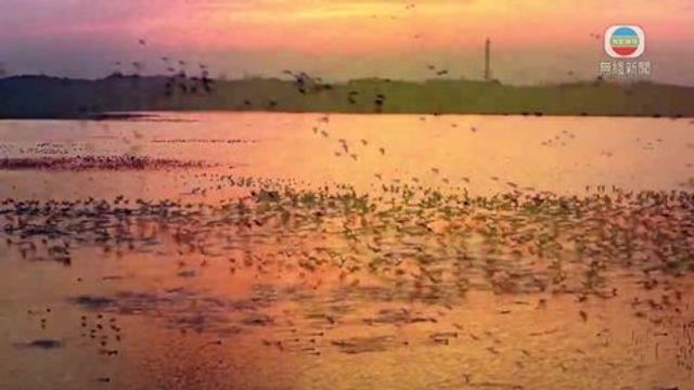 無綫新聞 TVB News