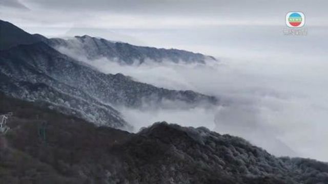 無綫新聞 TVB News