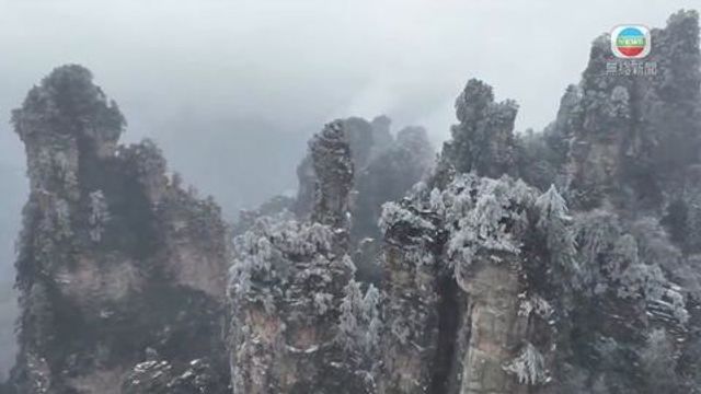 無綫新聞 TVB News