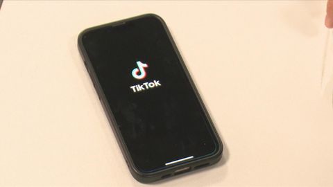 據報TikTok在美業務併入美國領導合資企業後　程式卸載率飆升近1.5倍