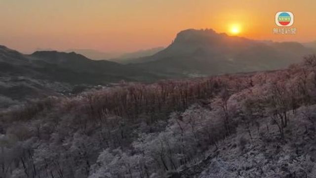 無綫新聞 TVB News