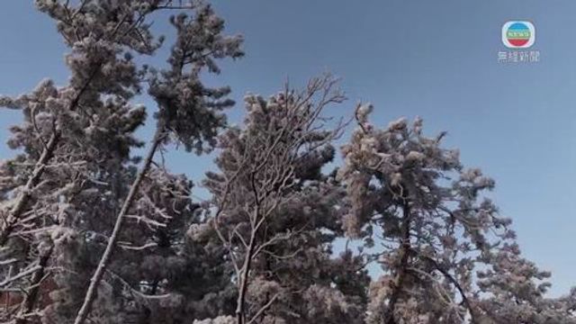 無綫新聞 TVB News