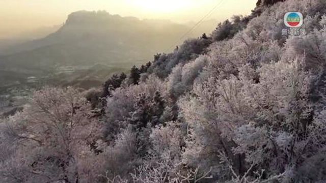 無綫新聞 TVB News