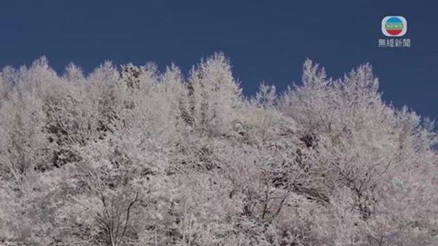 無綫新聞 TVB News