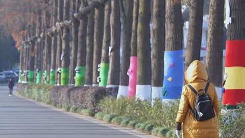 Hundreds of trees nicely protected in Hubei