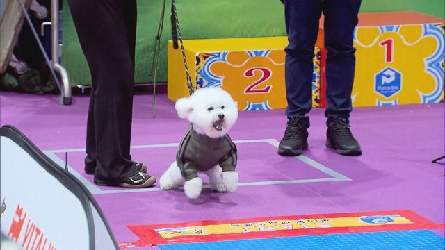 無綫新聞 TVB News