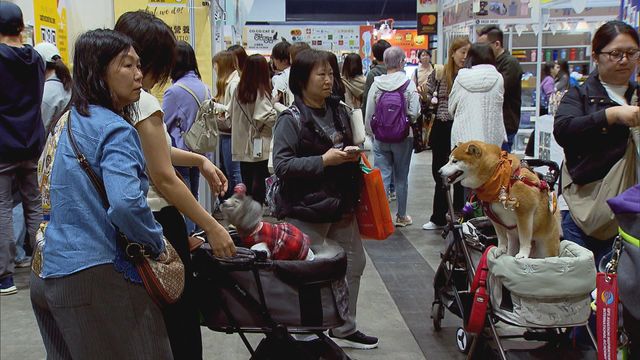 無綫新聞 TVB News