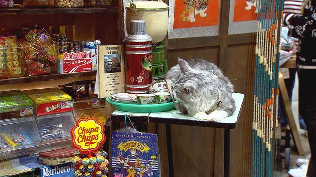 無綫新聞 TVB News