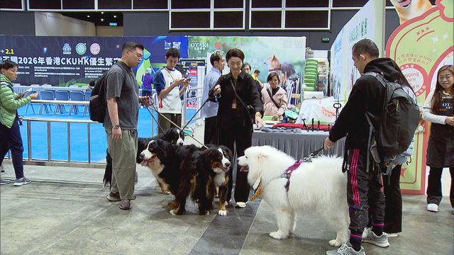 無綫新聞 TVB News