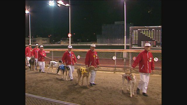 澳門逸園曾為亞洲唯一賽狗場 停辦後曾牽格力犬安置爭議|延伸閱讀 澳門逸園曾為亞洲唯一賽狗場 停辦後曾牽格力犬安置爭議|延伸閱讀