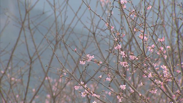 無綫新聞 TVB News