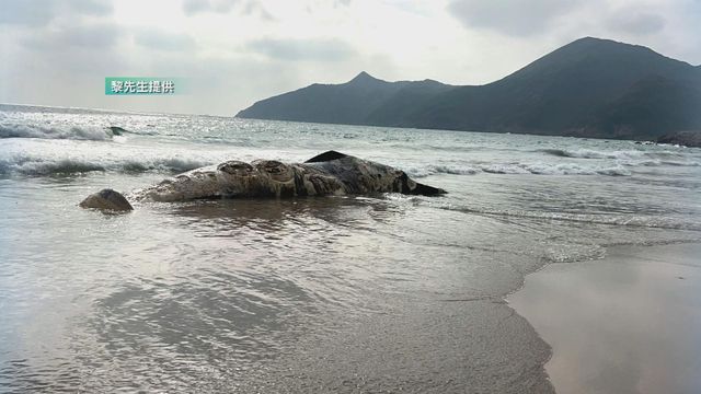 無綫新聞 TVB News