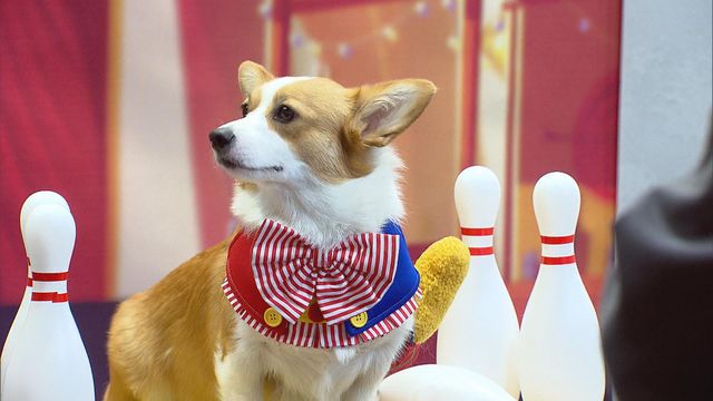 無綫新聞 TVB News