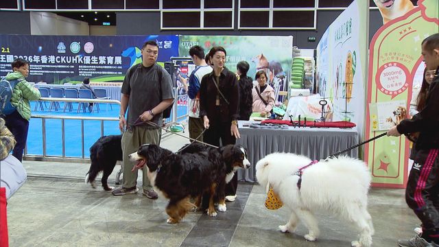 無綫新聞 TVB News