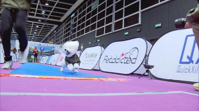 無綫新聞 TVB News