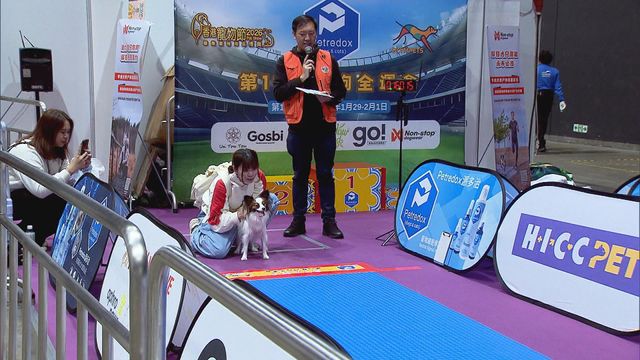 無綫新聞 TVB News