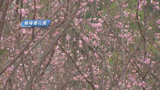 無綫新聞 TVB News 無綫新聞 TVB News