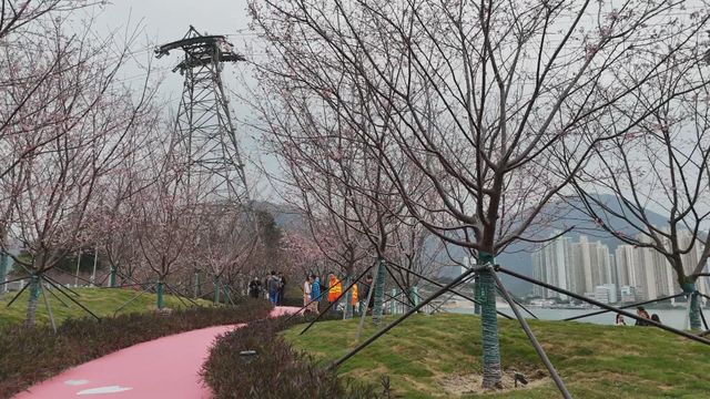 無綫新聞 TVB News 無綫新聞 TVB News